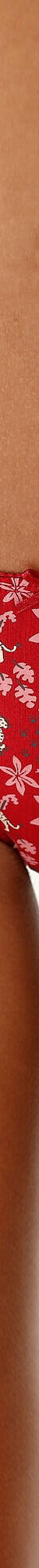 Katoenen slip met "panter" print - Set van 4 (rood) Katoenen slip met "panter" print - Set van 4 (rood)